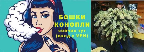 a pvp Аркадак