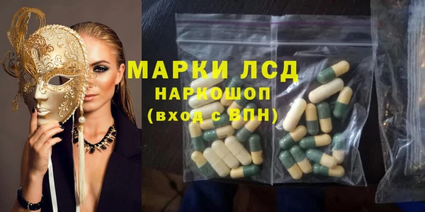 сатива Армянск